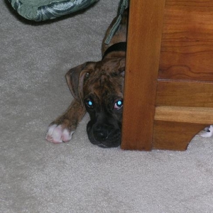 I see you....