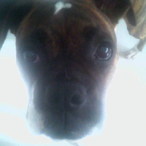 my sweet face