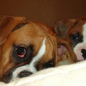 Mom we're trying to sleep!