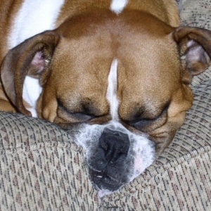 MUSH FACE