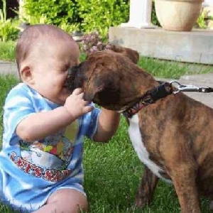 Meeting a new friend
