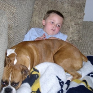Lap Dog