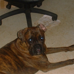 Peanut