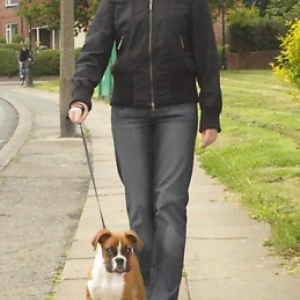 Afternoon Walkies