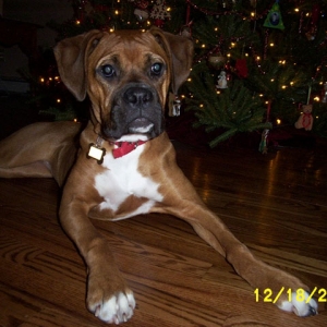 Kayla's First Christmas