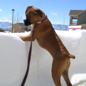 Check out this snowdrift