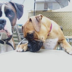 otis_sadie2