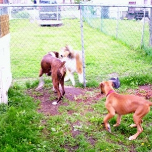 best friends