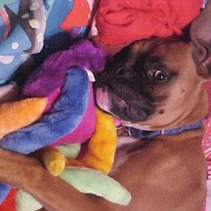 George luvs "jellyfish"