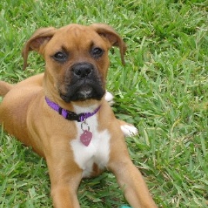 Ali- 10 weeks