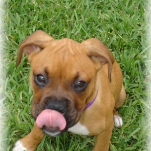 Silly Face :)