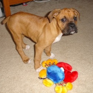Lil Cutie