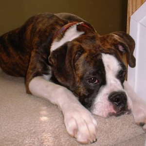 At the top of the stairs!