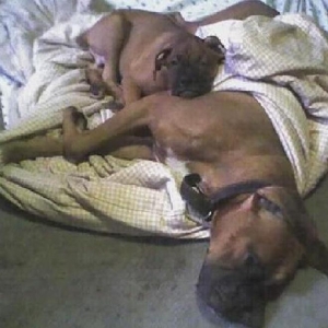 Sleep Time lol