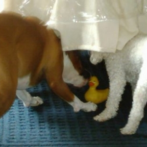 Mom said not under the table
