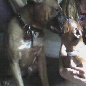 Bullwinkle .. after being home for 5 mins ..