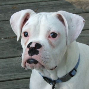 Albert 6 months