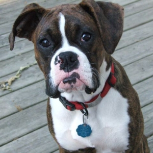 Myah 6 months