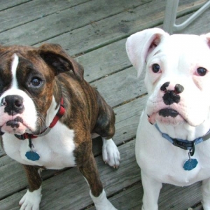 My babies 6 months old May 05