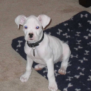 My little guy