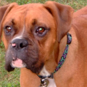 Lenny1