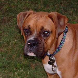 Lenny3