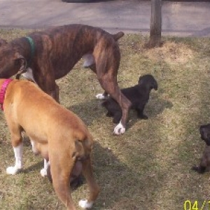 family