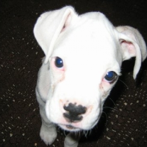 Upclose with Nube