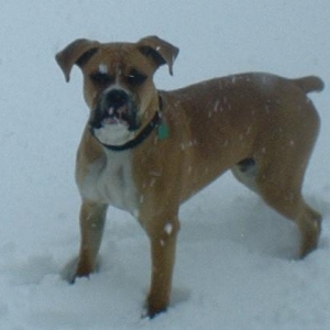 snow_Zeus