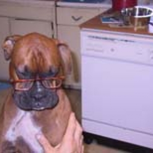 What a smart dog I am