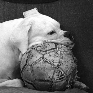I love my ball