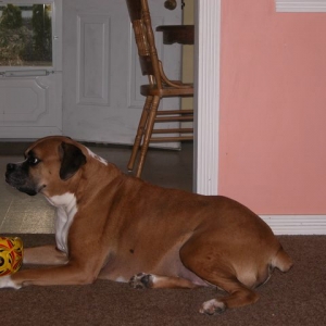 Another picture Mom?
