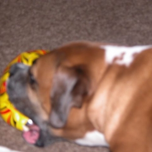 My ball