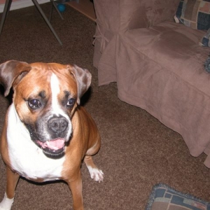 My baby