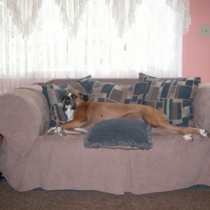 Comfy for a nap