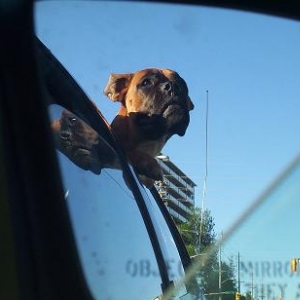 Car ride