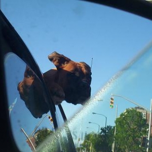 another car ride picture