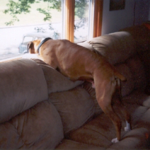 Waiting for Dad