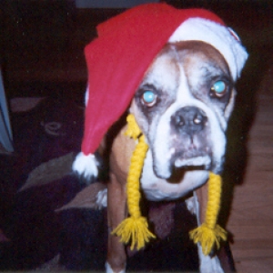 Where is Santa?