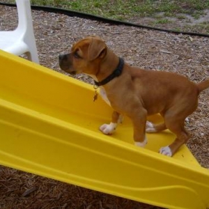 "I'm going to come up there & get you!"