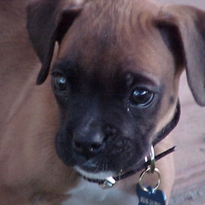 Baby Oscar
