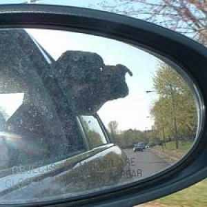 carmirror