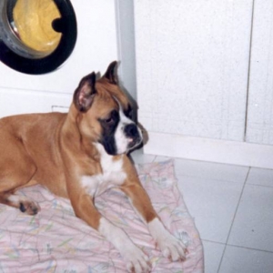Sally