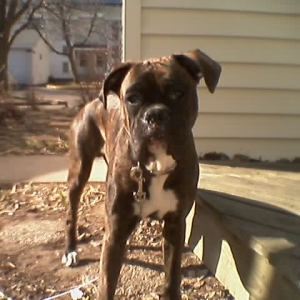 jake