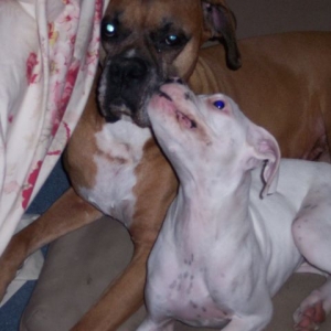 kisses
