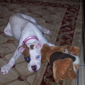 sasha tired