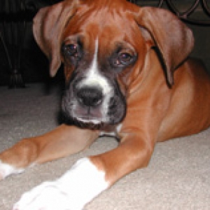 kerouac @ 12 weeks