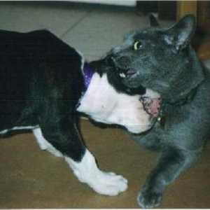 Kylie and Shadow