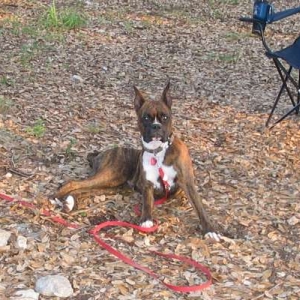Jada 1st Camping trip, age 11 mo