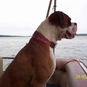 Tanner looking out at the water.